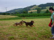 GalerieBesuchHahkota0