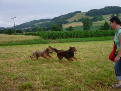 GalerieBesuchHahkota0