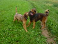 GalerieBesuchHahkota1