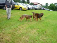 GalerieBesuchHahkota10