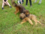 GalerieBesuchHahkota11