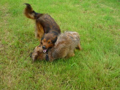 GalerieBesuchHahkota12