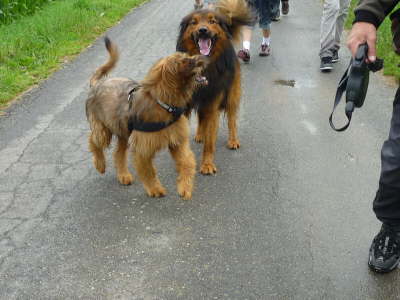 GalerieBesuchHahkota13