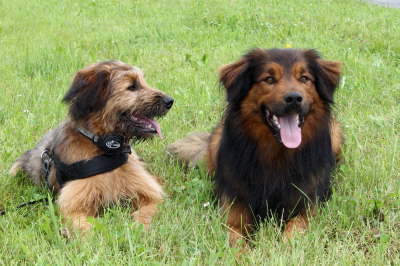 GalerieBesuchHahkota14