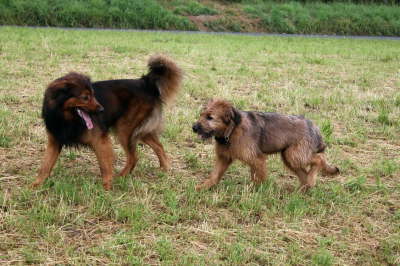 GalerieBesuchHahkota15