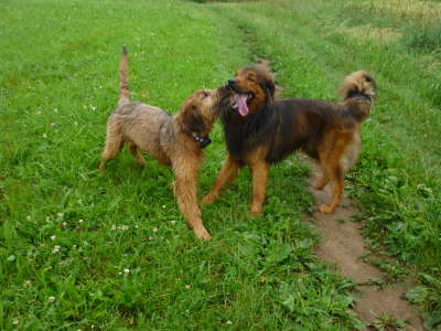 GalerieBesuchHahkota1