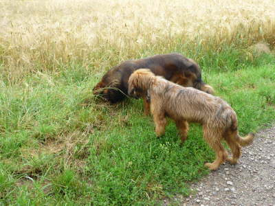 GalerieBesuchHahkota2