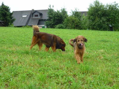 GalerieBesuchHahkota3