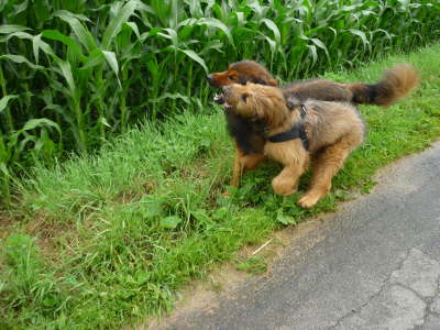 GalerieBesuchHahkota4