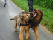 GalerieBesuchHahkota5