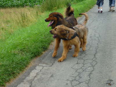 GalerieBesuchHahkota6