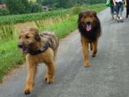 GalerieBesuchHahkota7