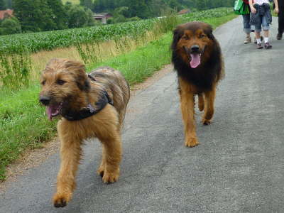 GalerieBesuchHahkota7