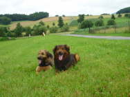 GalerieBesuchHahkota8