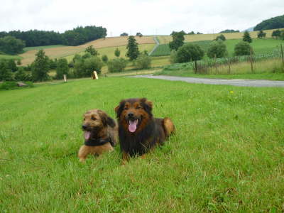 GalerieBesuchHahkota8