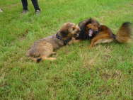 GalerieBesuchHahkota9