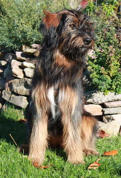 derWäller4 derWäller4