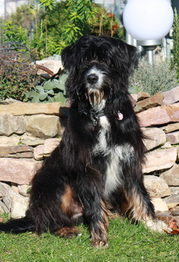 derWäller5 derWäller5