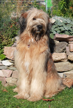 derWäller6 derWäller6