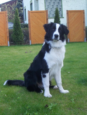 derWäller7 derWäller7