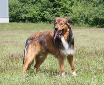 derWäller8 derWäller8